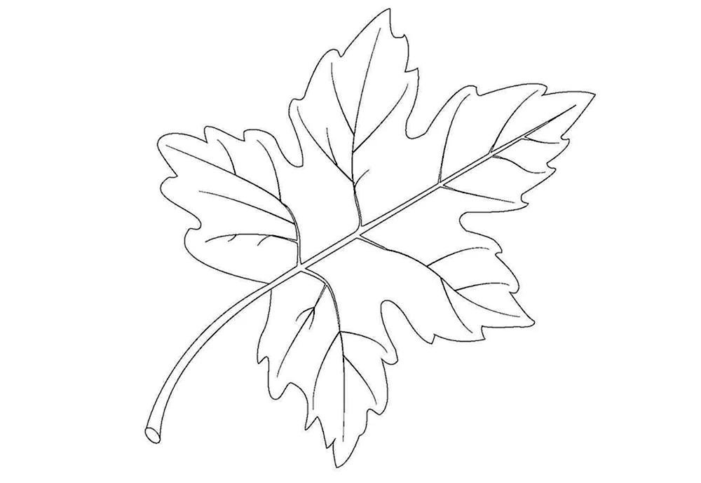 Ahornblatt zum Ausmalen
