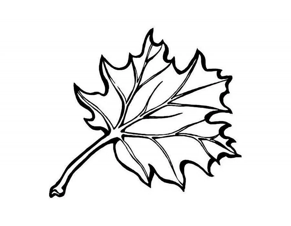 Blatt-Schablonen