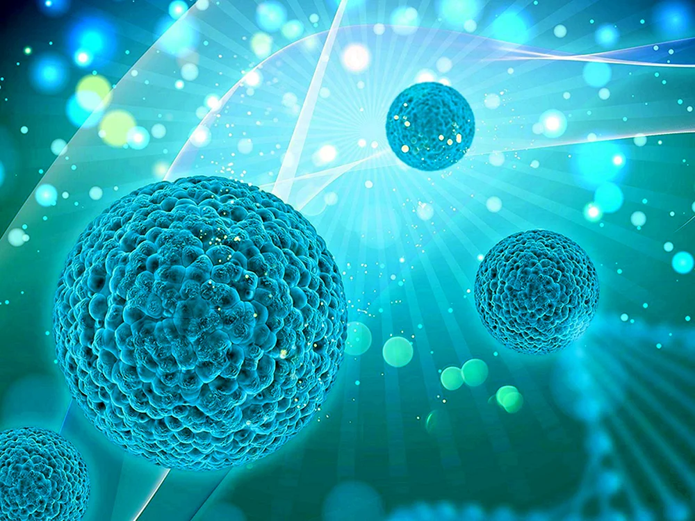 Biologiehintergrund für Naturpräsentation