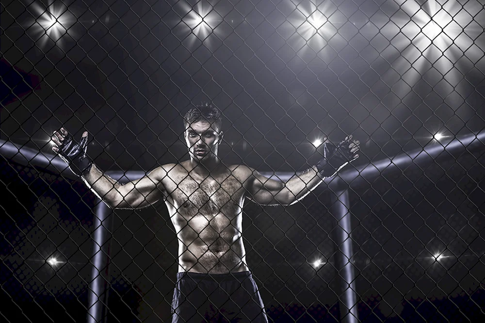 UFC Achteck