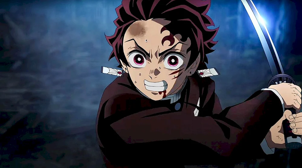 Dämonentöter Kimetsu no Yaiba