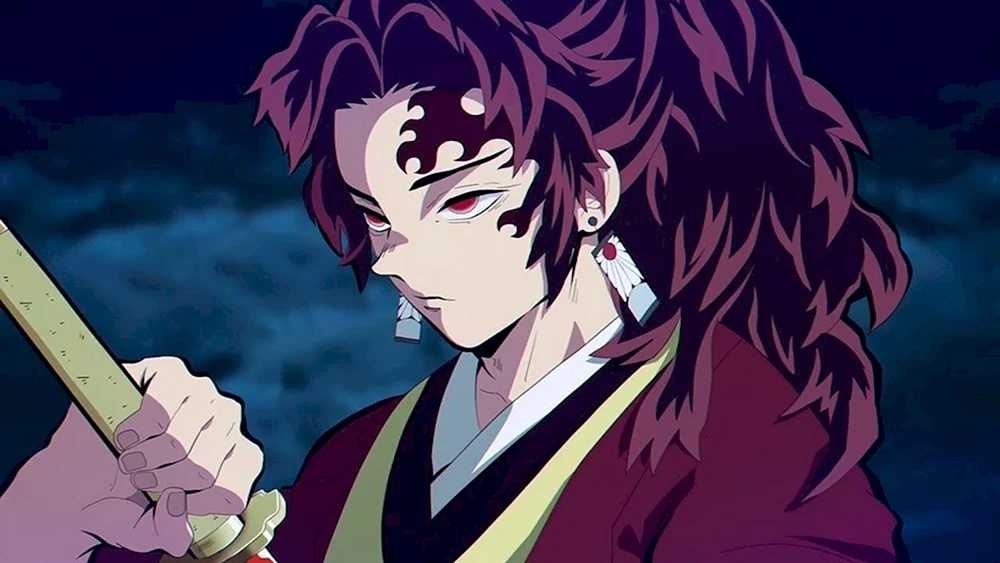 Dämonentöter Kimetsu no Yaiba