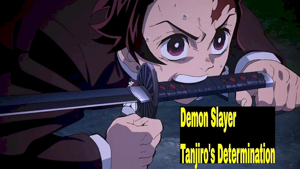 Dämonentöter Kimetsu no Yaiba