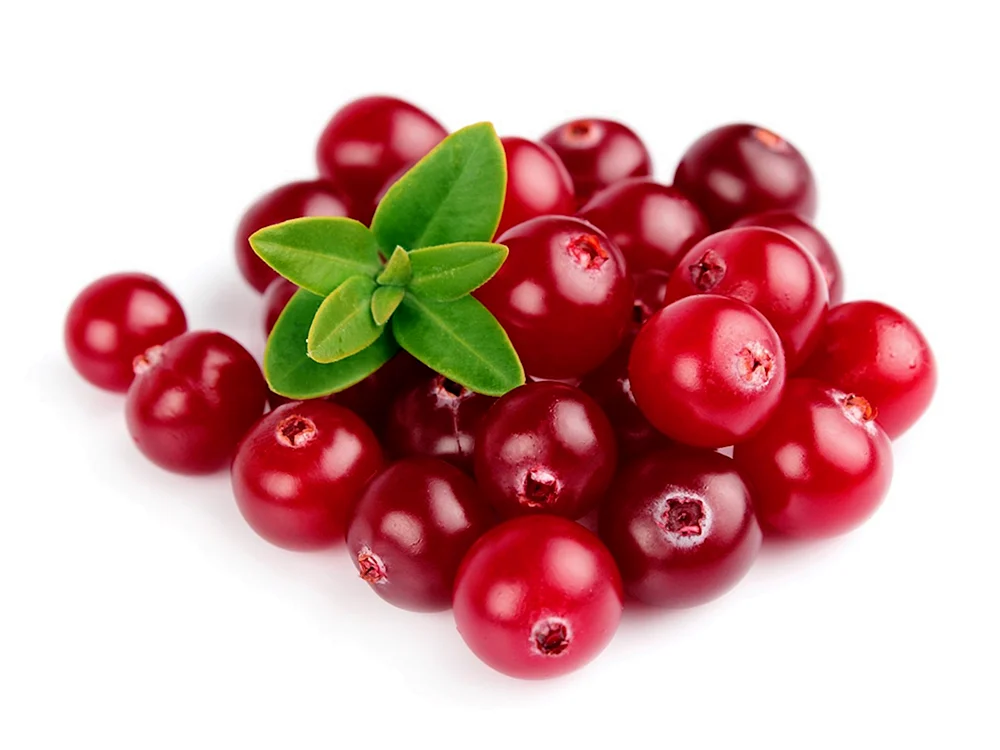 Cranberries und Cranberries