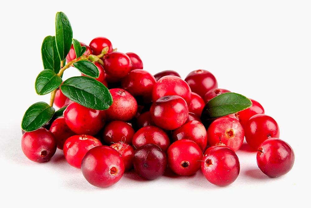 Cranberries und Cranberries