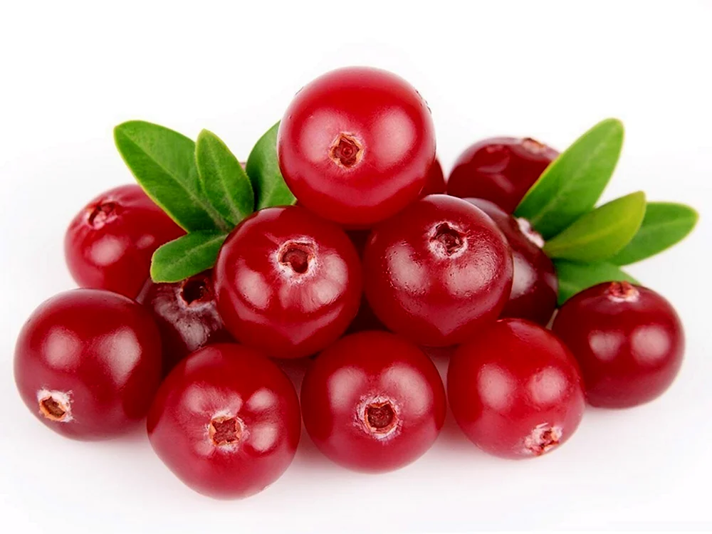 Toloknia Beerenbeeren