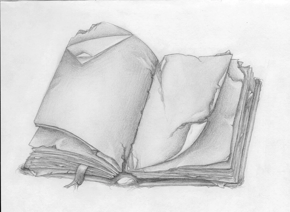 Buchskizze