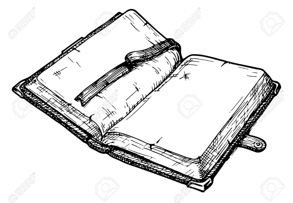 Buchskizze
