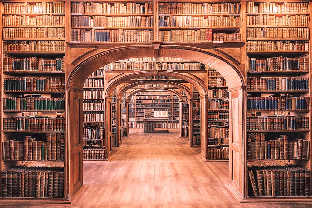 Bibliotheksregal