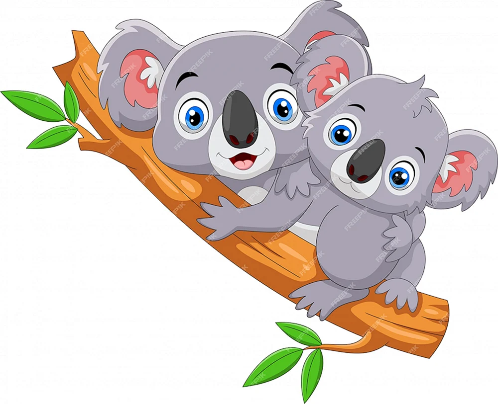 Koala