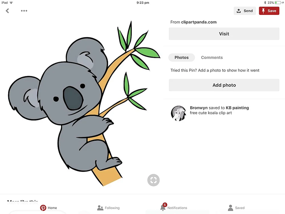 Koala Cartoon