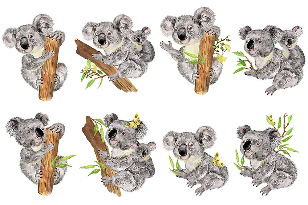 Koala Seitenansicht
