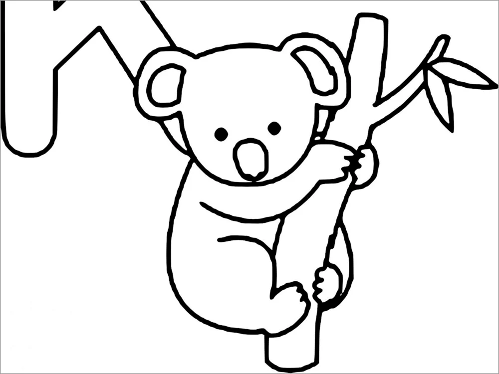 Koala. Ausmalbild