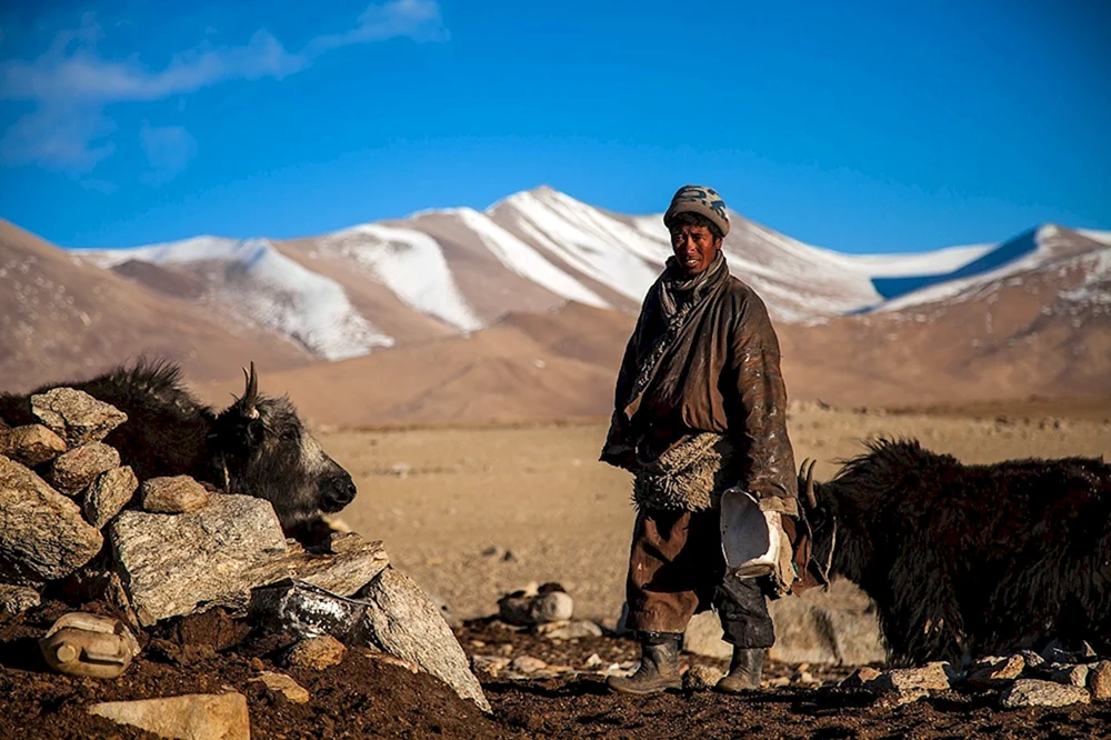 Nomaden der Mongolei