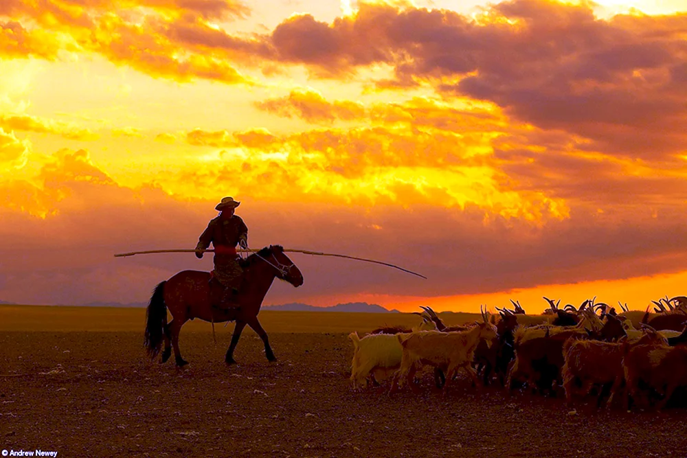 Nomadische Hirten der Mongolei