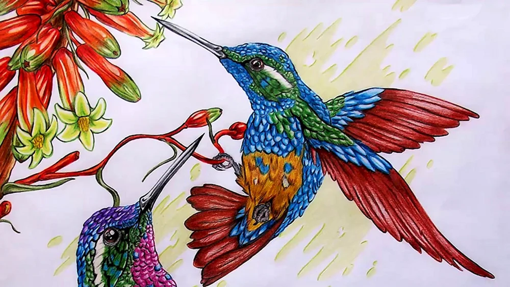 Blauer Vogel Sladkov