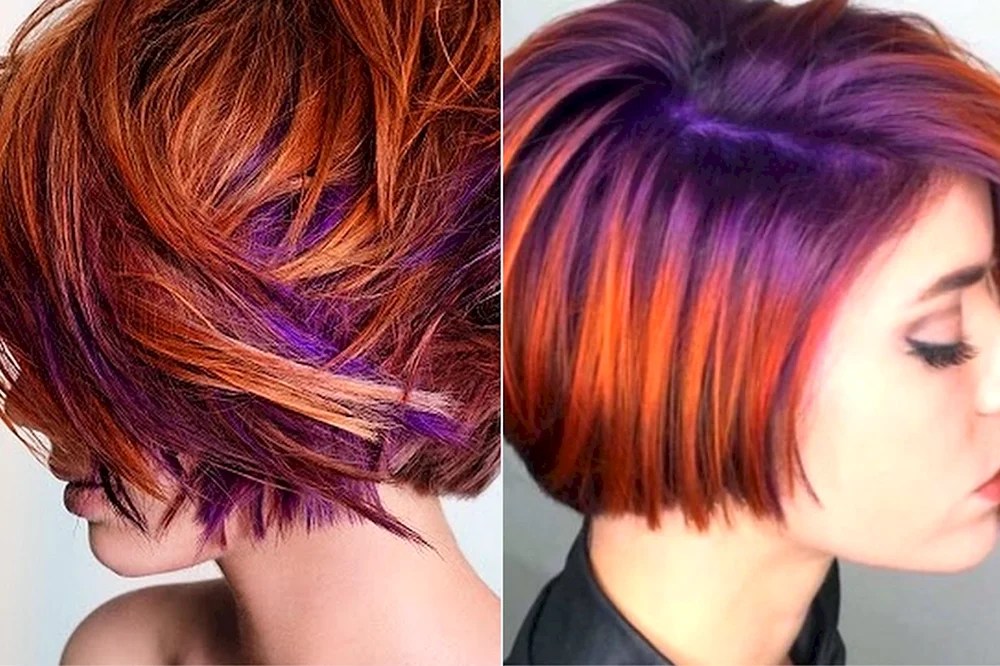 Chestnut Pixie