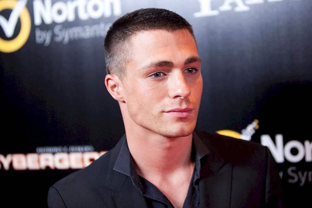 Colton Haynes Kurzhaarschnitt