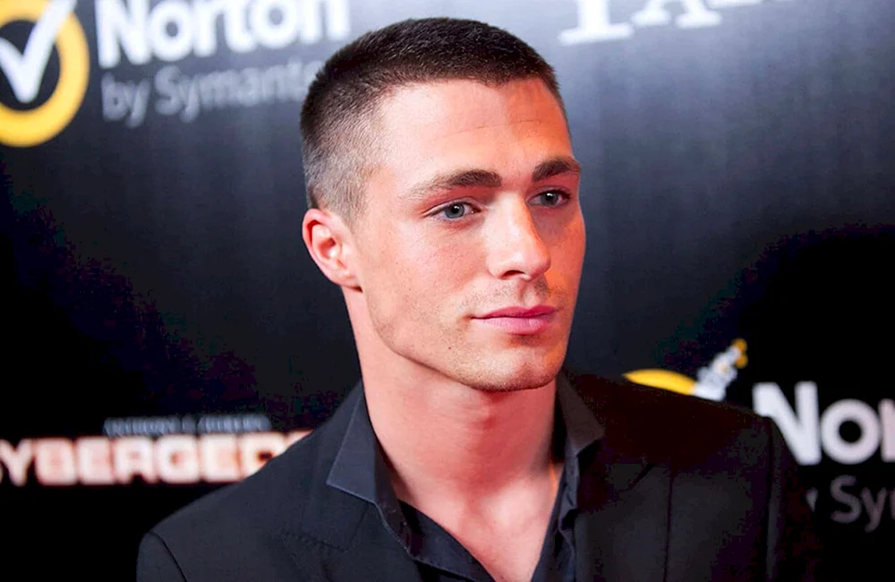 Colton Haynes Kurzhaarschnitt