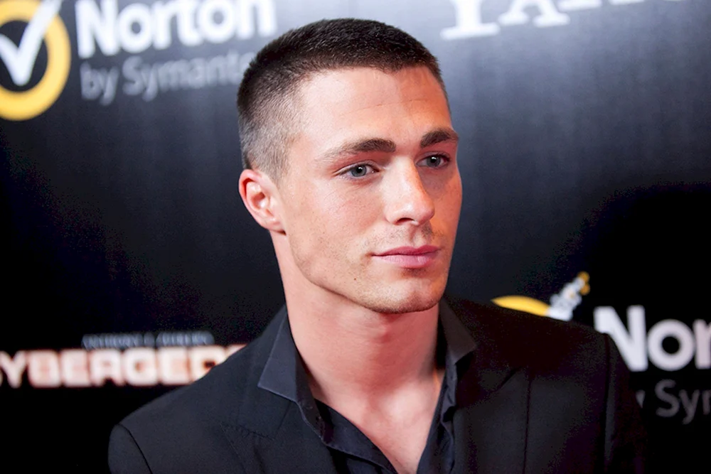 Colton Haynes Kurzhaarschnitt