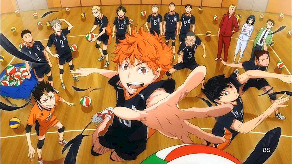 Karasuno Team Anime