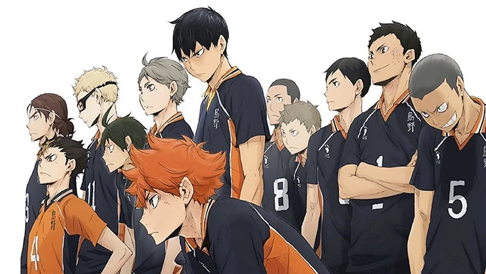 Karasuno Team Anime