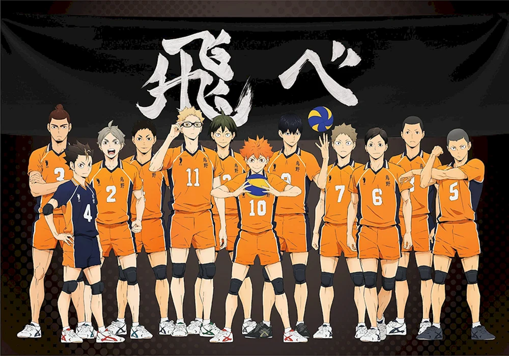 Karasuno Team Anime