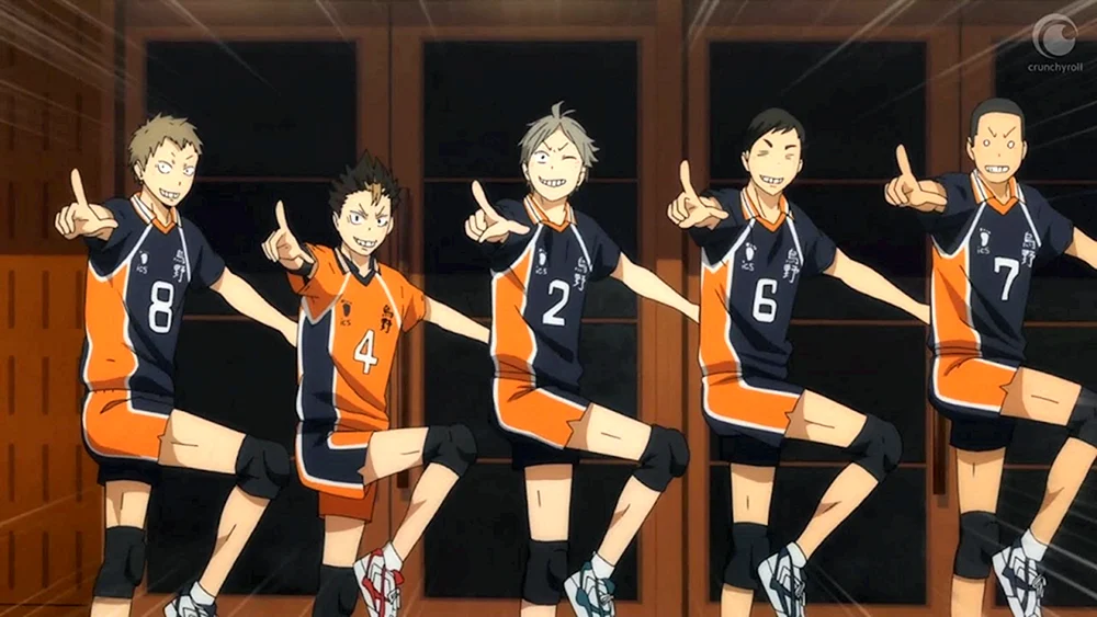 Karasuno Team Anime