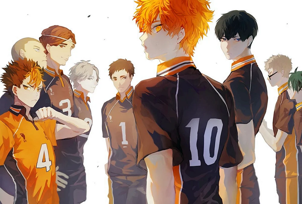 Kolleyball Team Karasuno anime
