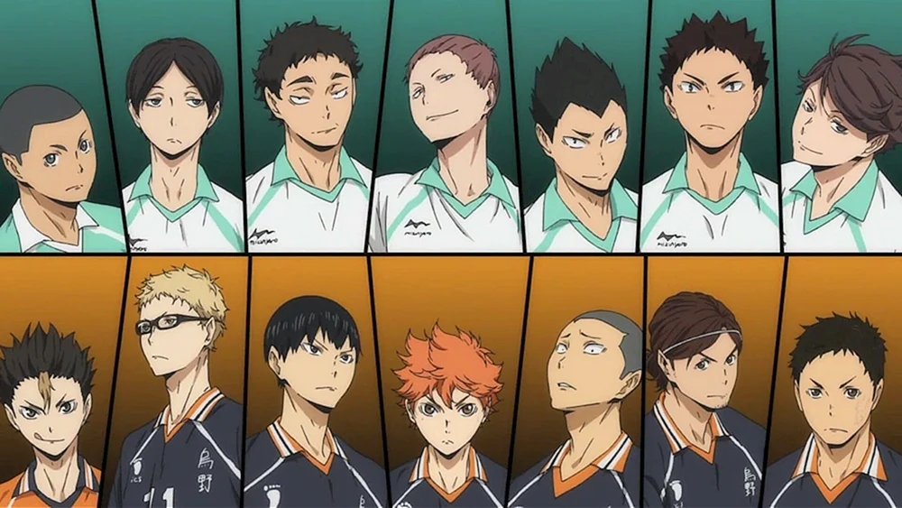 Karasuno anime