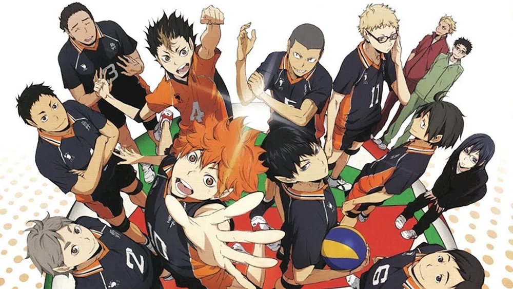 Karasuno Team anime