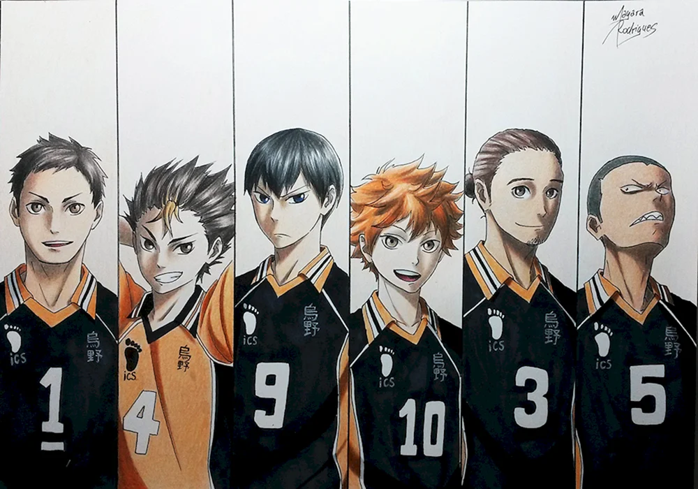 Karasuno Team Charaktere