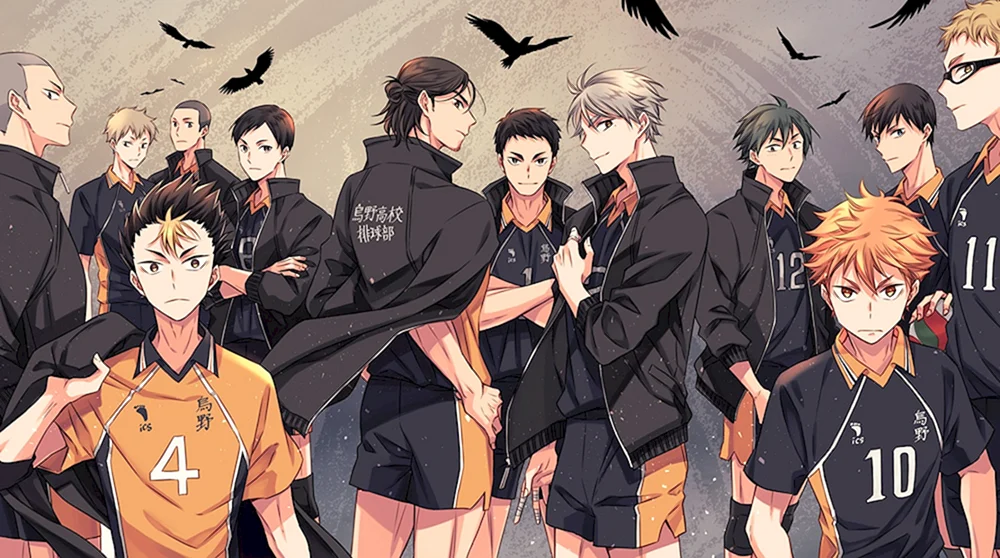 Karasuno Team Volleyball