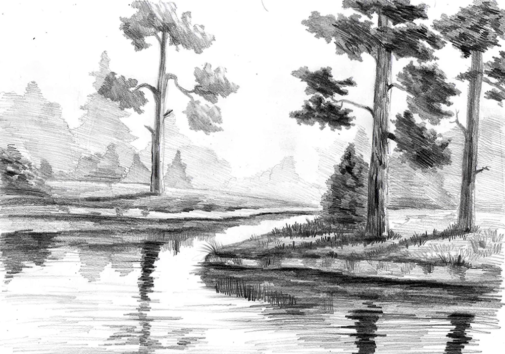 Naturzeichnung