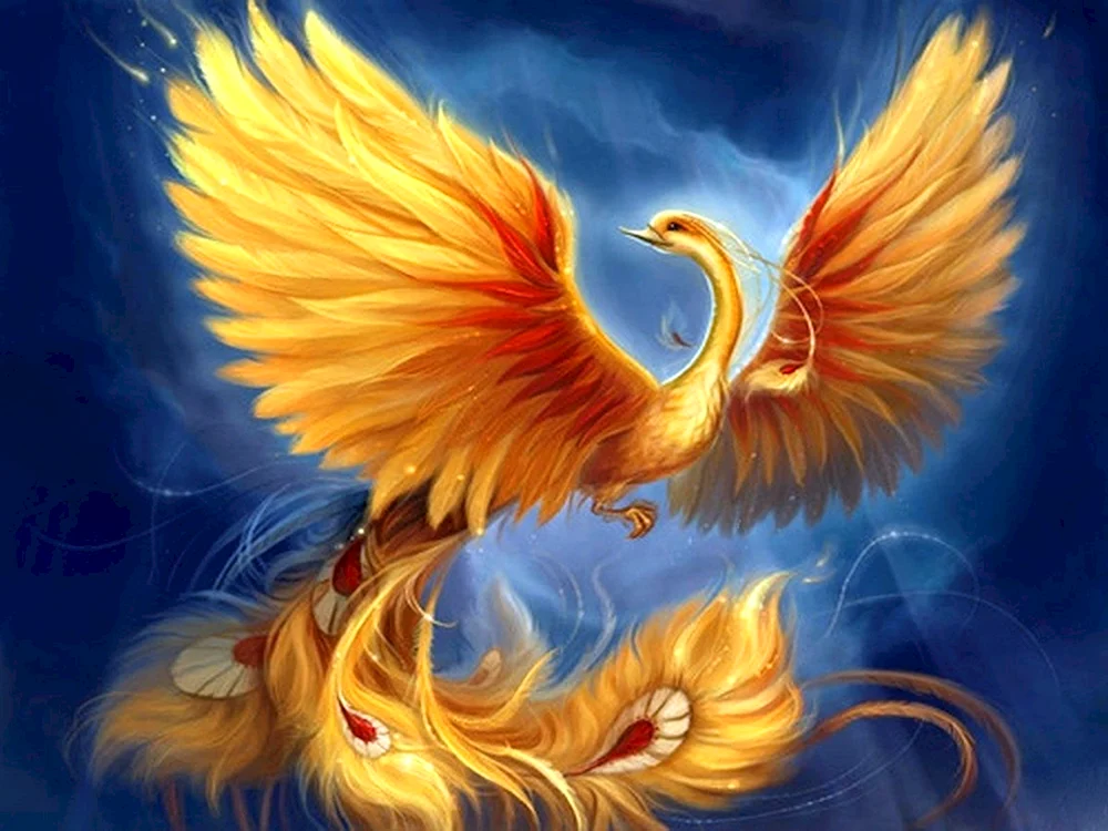 Konek Glöckner Feuervogel