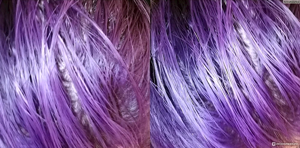 Concept Arktisblond Tönungsbalsam