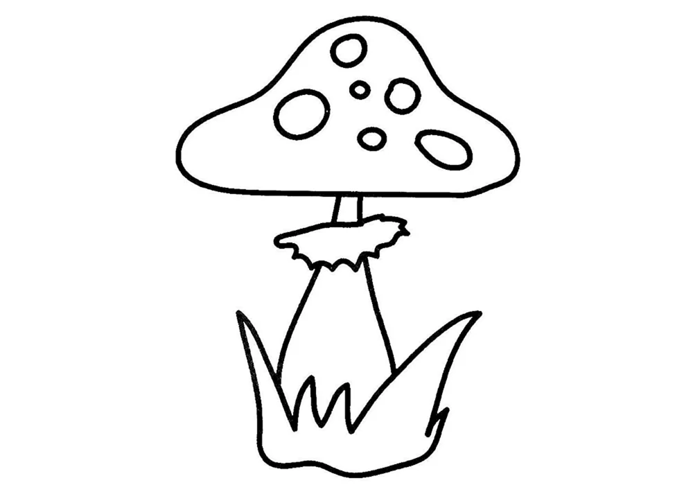 Fliegenpilz skizzieren