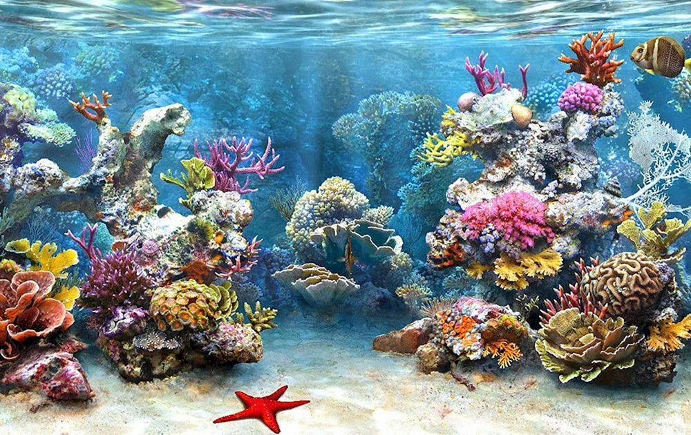 Aquarienhintergrund