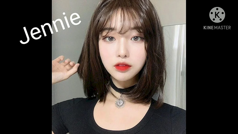 Pixie Bob Haarschnitt Korea