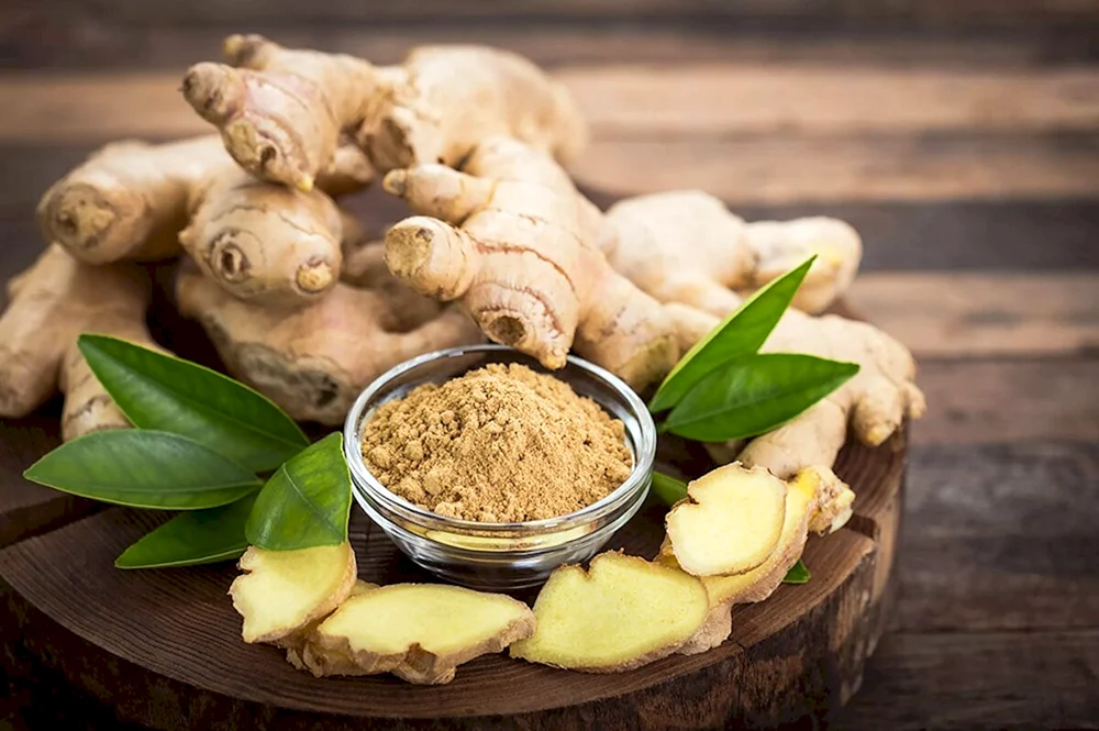 Zingiber officinale
