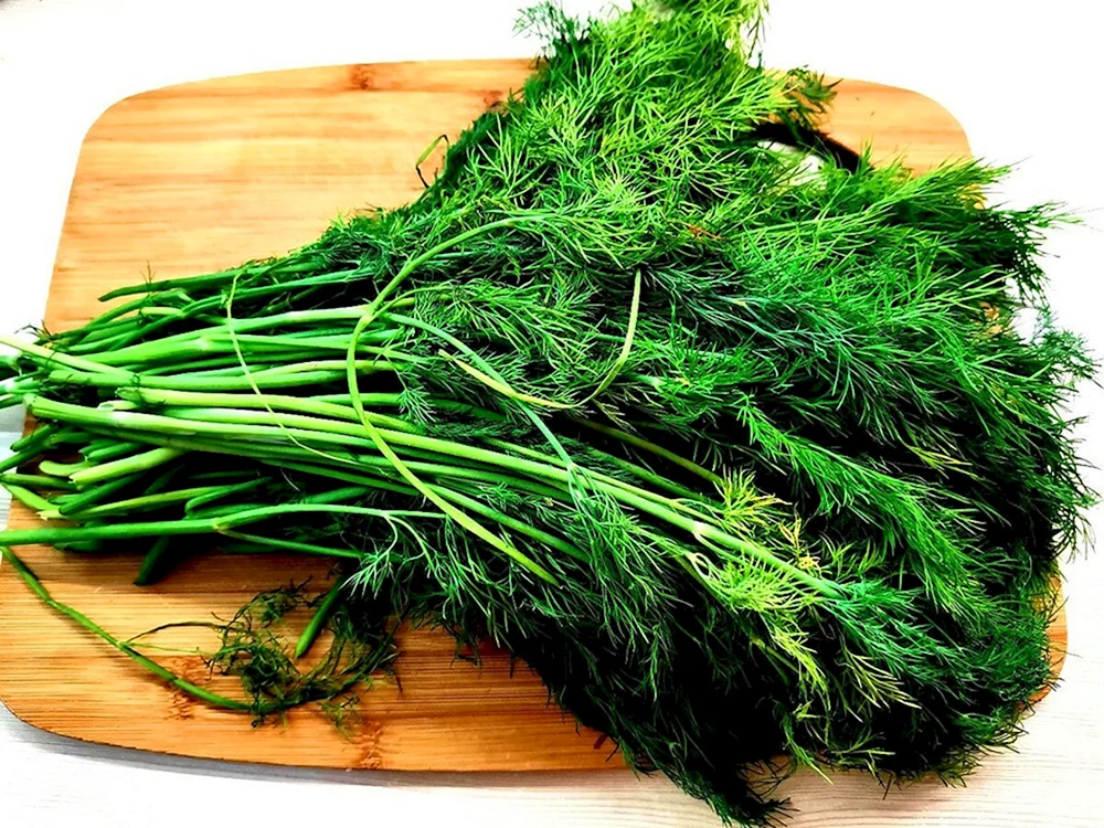 Crop root dill