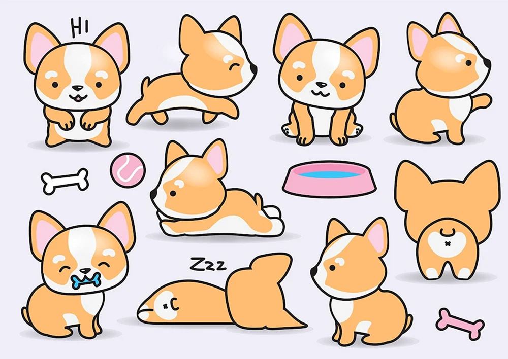 Corgi Kawaii