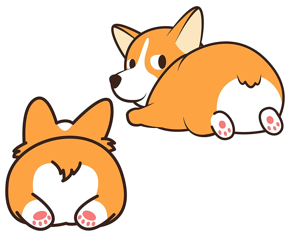 Corgi von hinten Vektor