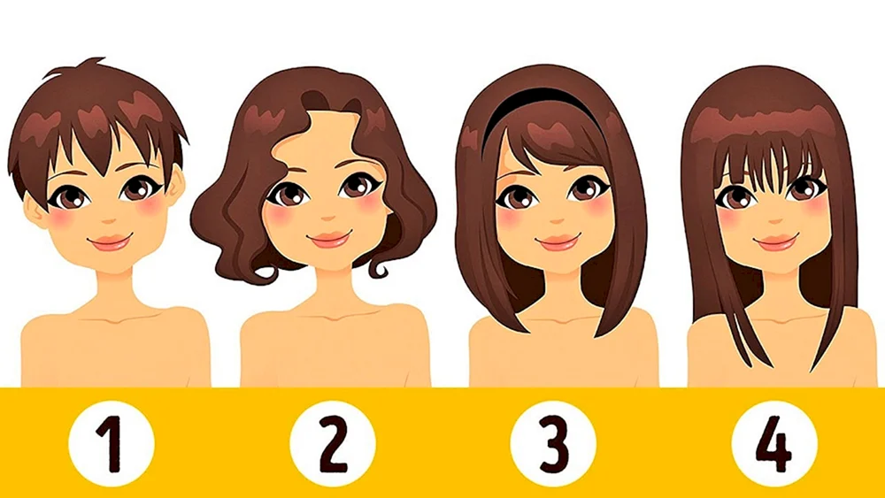 Kurzes mittellanges und langes Haar
