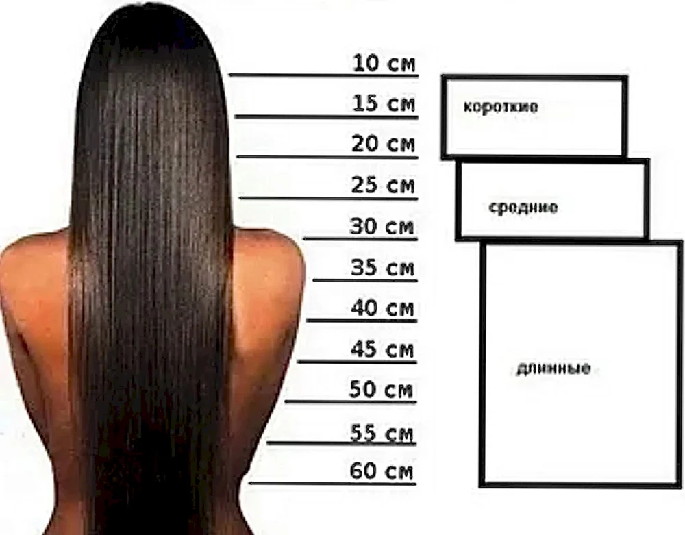 Kurzes mittellanges und langes Haar
