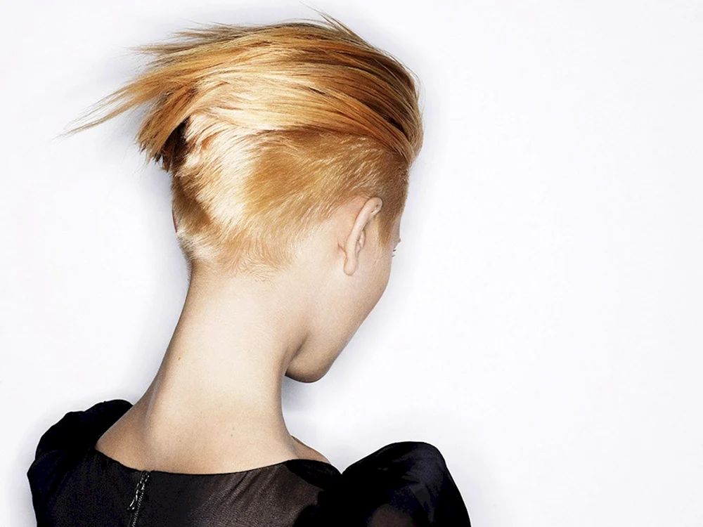 Pixie Bob Haarschnitt