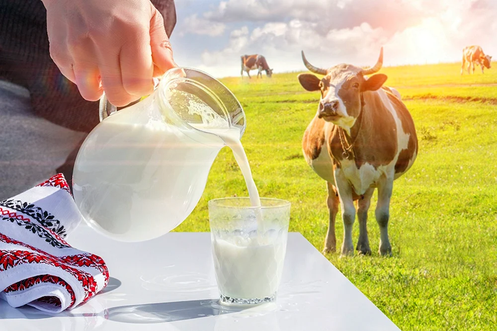 Milch