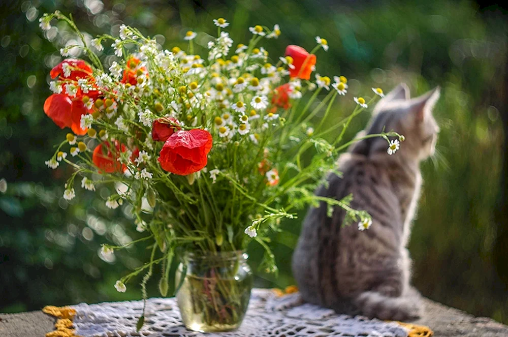 Katze mit Blumen