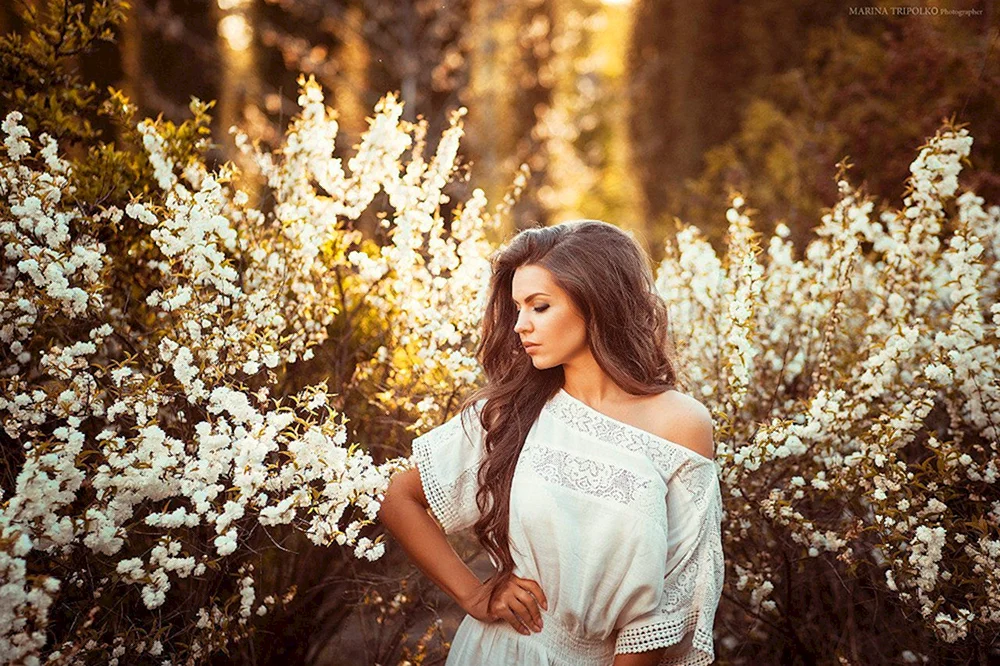 Alena Kosheleva Alena Sergeyevna