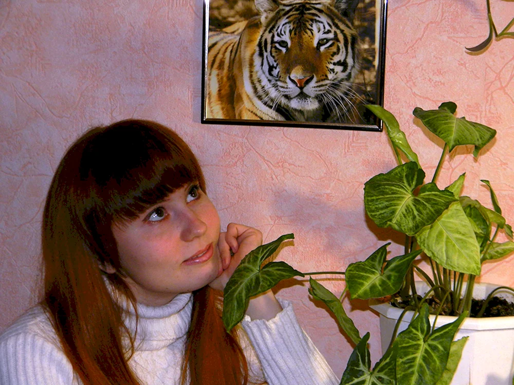 Kosheleva Elena Petrovna